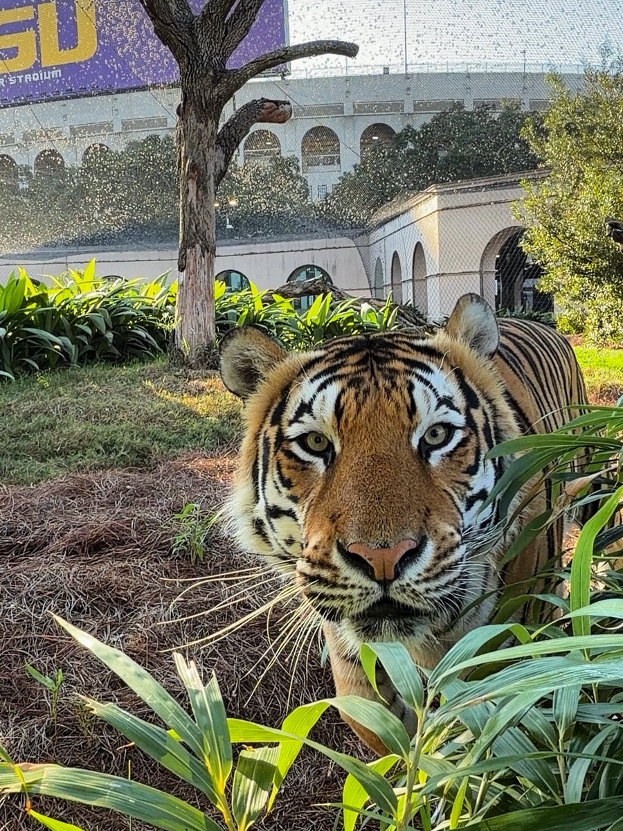 It’s Monday. We make serious faces on Monday.