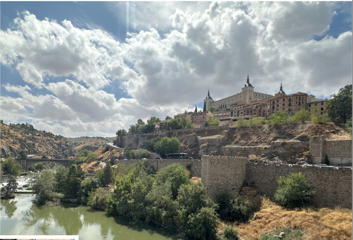 RIMedJournal tweet media