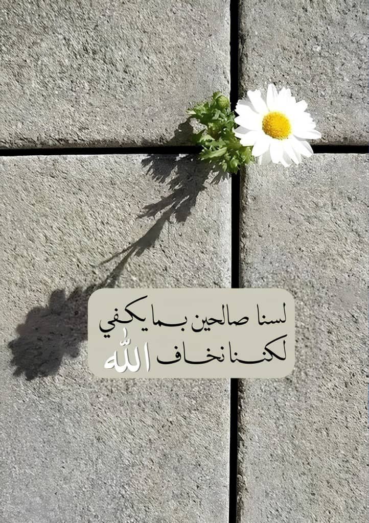 السلام عليكم 

يقول 

اسعد الله مسائكم دوم واقفين وجلوس

يلي متابع حسابي عد الخلايق في الفلك  

واوصيك انا  لا تخدعك  دمعات البسوس

و على قول المثل  لي  مايعرفك  يجهلك

وترى الخسارة مو خسارة رصيد وفلوس

الخسارة (انسان) تصدق  معه  ويخذلك

 👇