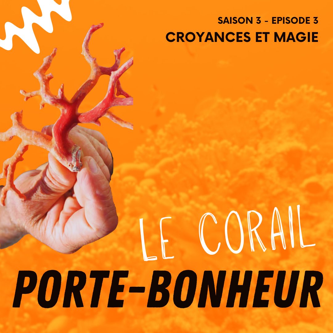 Podcast Emiciclu tweet media