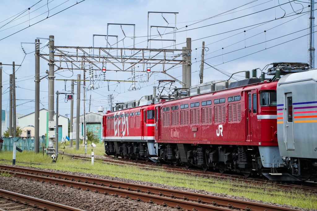 broccoli (@broccoli8195) / Posts / X