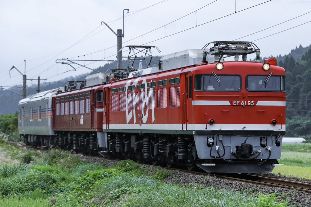 broccoli (@broccoli8195) / Posts / X