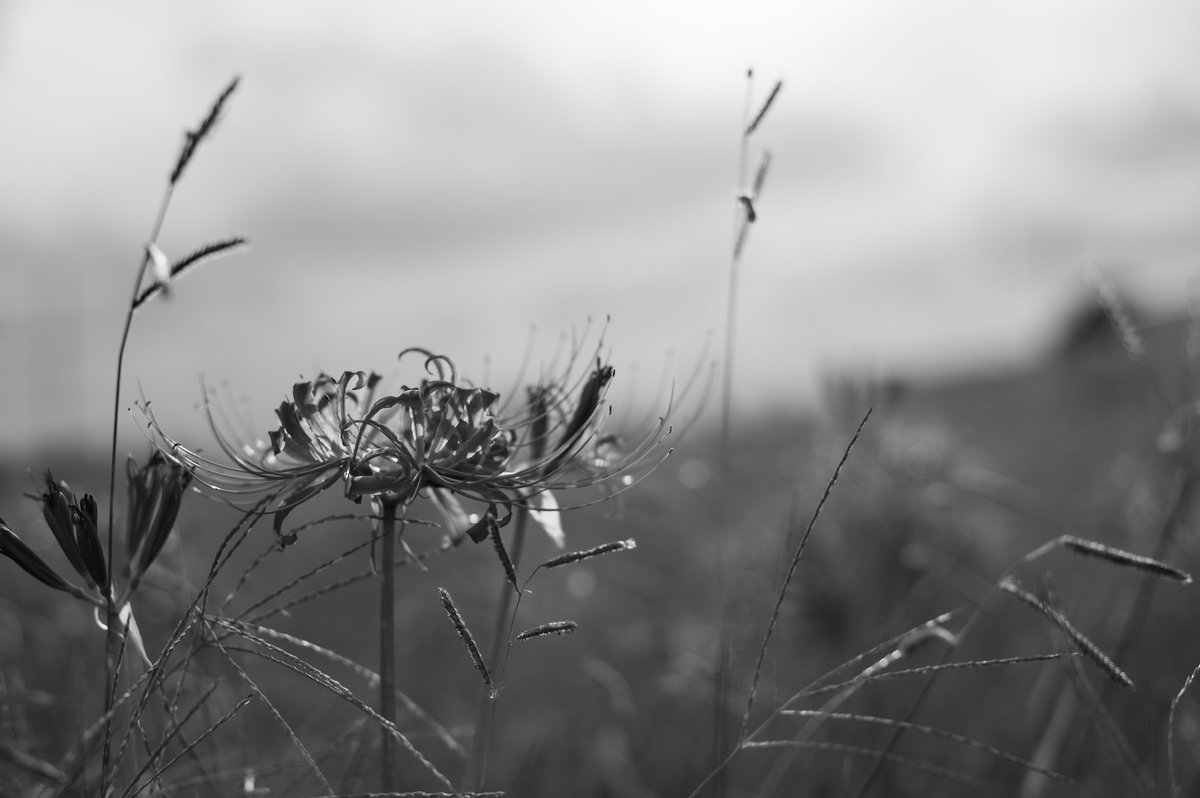YOuSUKE_photo tweet media