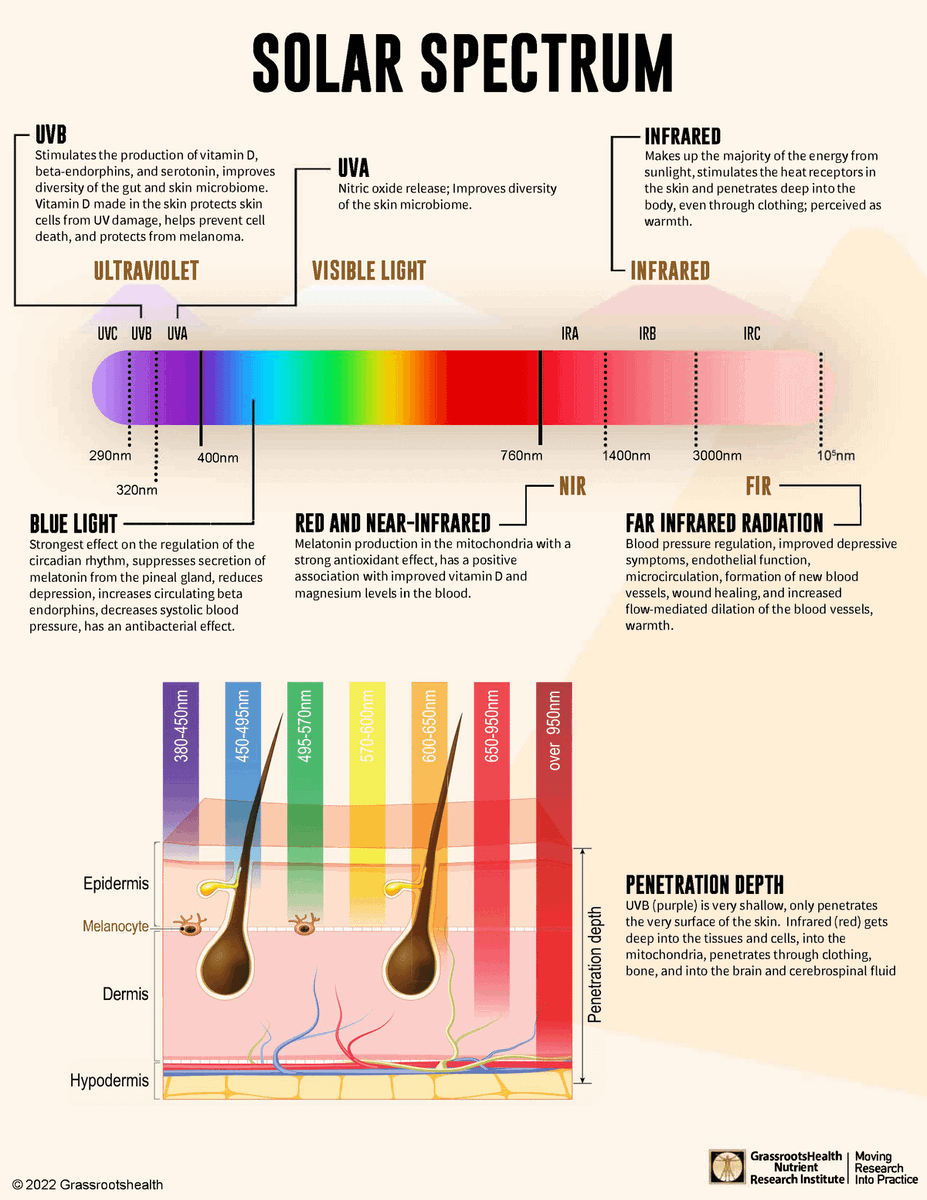 Do you believe that vitamin D is the sole benefit of sun exposure?

UVB makes vitamin D. UVA releases nitric oxide and drops blood pressure. Blue light fixes your sleep. Red/infrared powers your mitochondria.

The sun is an intergalactic wealth of life.