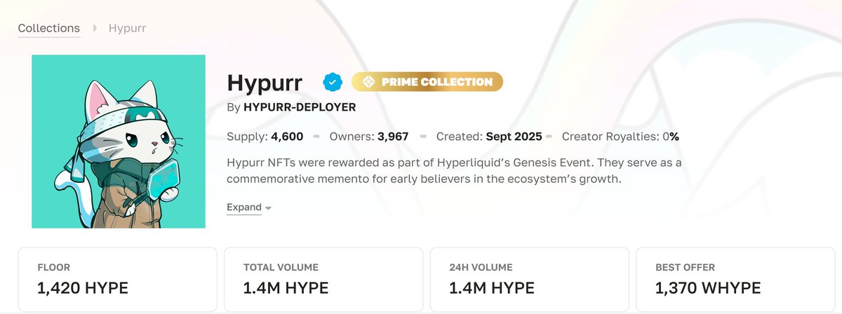 Spaace 🟠 tweet media