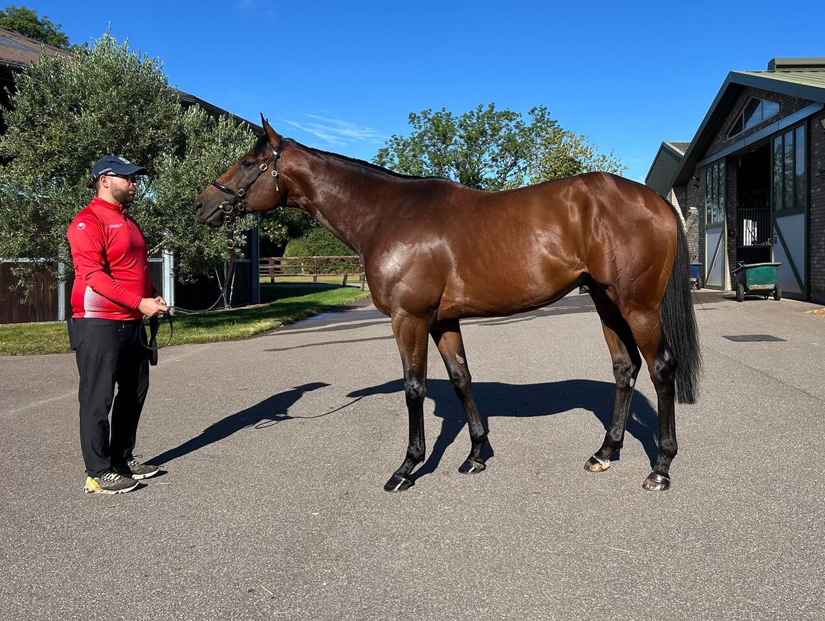 EMW Equine tweet media