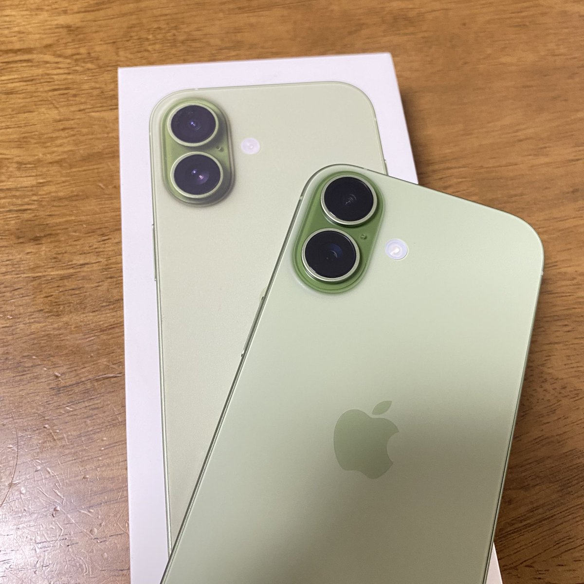 protoceratops's tweet photo. iPhoneのレベルが11→17にレベルアップしました。
セージ、というか鶯きなこ色。
#iPhone17 https://t.co/wzj38y3SnY
