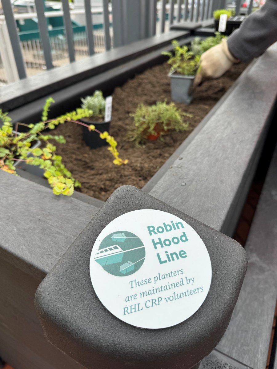 Robin Hood Line tweet media