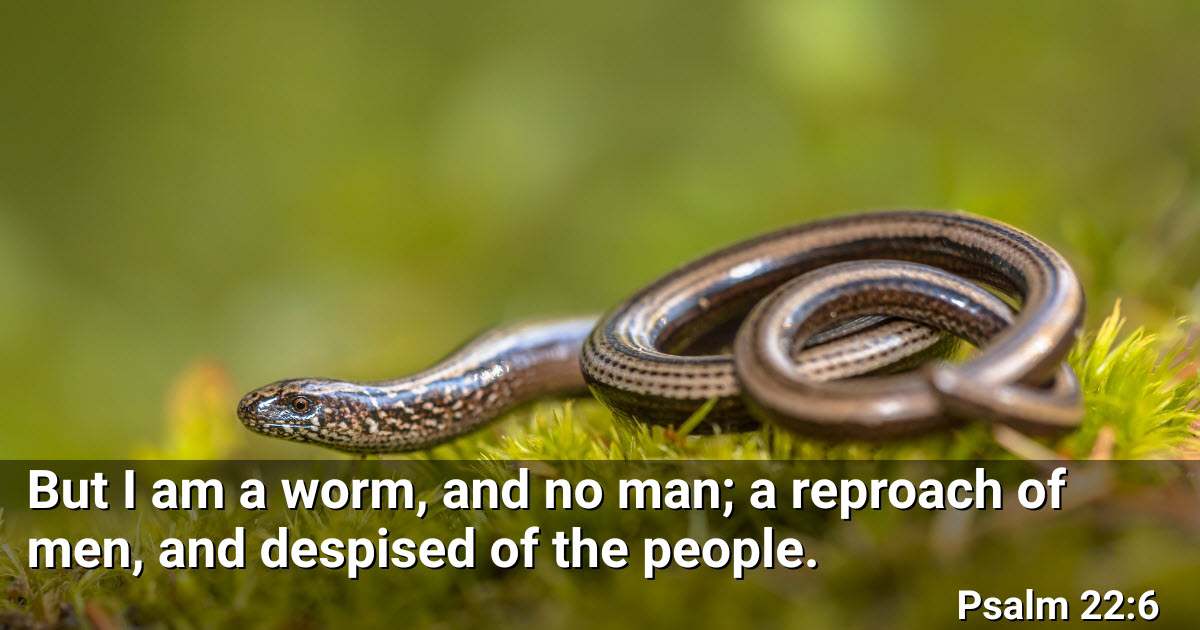 AnswerstoLifeM1's tweet image. When we feel forgotten and worthless, the Lord still sees us and holds our story with care. #Psalm22 #FaithInHardTimes #GodSeesYou #NeverAlone