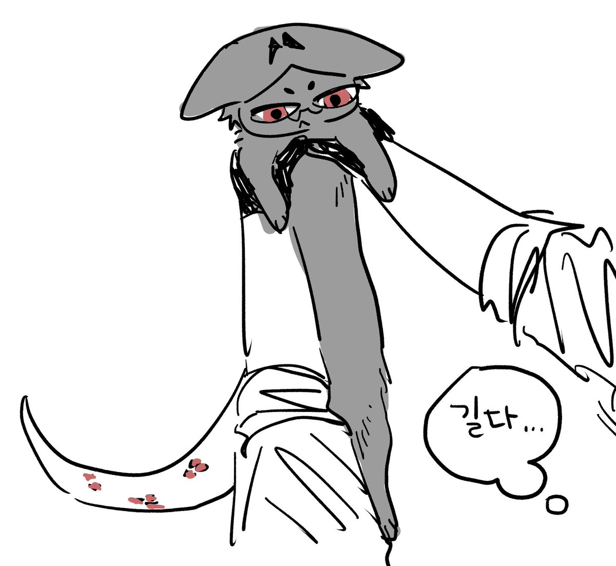 비송 (@bichonbosong) on Twitter photo 