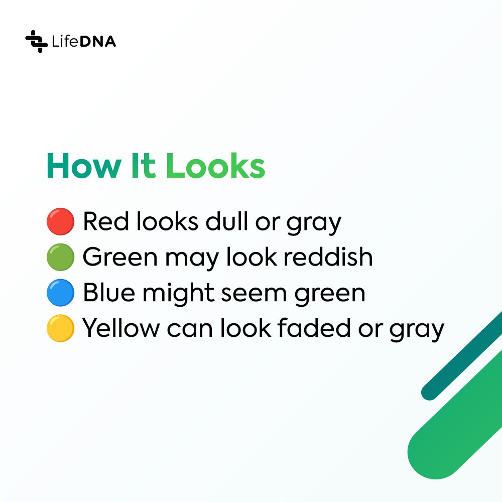 golifedna's tweet photo. Ever wonder why some people can’t tell red from green, or blue from yellow? For many, it’s more than just a simple mix-up—it’s in their DNA. Color vision depends on special cells in the eye called cone cells. When certain genes like OPN1LW and OPN1MW, which help build these cells, don’t work as expected, it can affect how red and green hues appear. These genes sit on the X chromosome—so it’s more common in men.

Whether it’s seeing red as dull brown or mistaking blue for green, color vision differences can show up in many ways. From inherited traits to age-related changes, your color perception might be more personal than you think.

Read more: https://t.co/zo4eRS6eTq

#colorblind #colors #wellness #genetics #DNA #healthylifestyle #healthandwellness #methylation