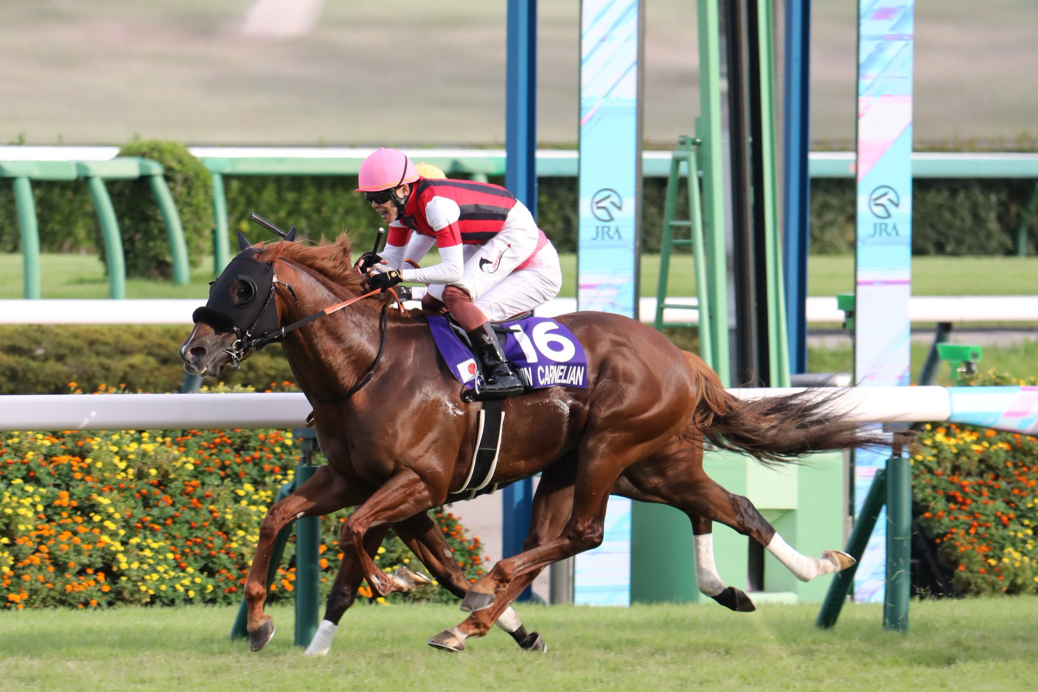 三浦皇成 新人賞記念 スカジャン ジャンパー M 競馬 ウマ娘 三浦皇成 新人賞記念 スカジャン ジャンパー M 競馬 ウマ娘