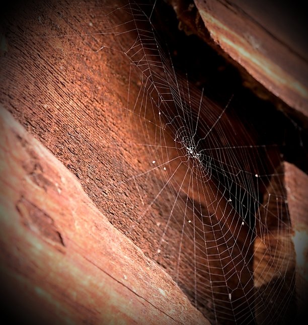 During October, every cobweb and dusty corner in your house automatically upgrades into Halloween decorations and immersive gaming props.