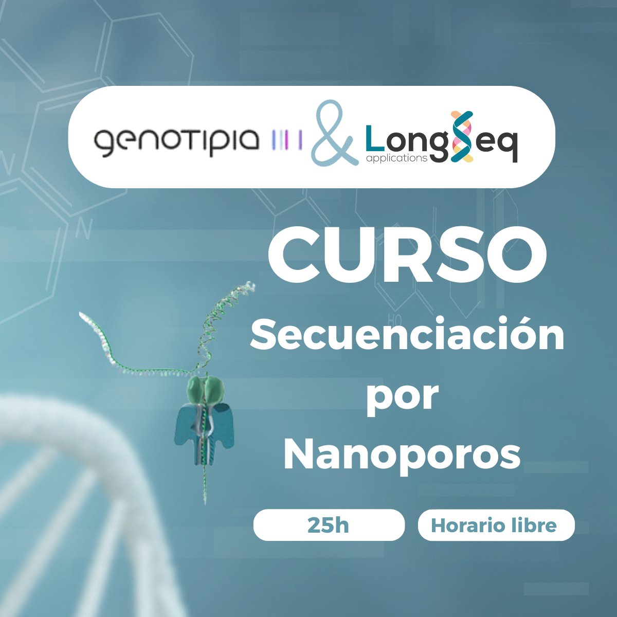 𝐍𝐮𝐞𝐯𝐨 𝐂𝐮𝐫𝐬𝐨 𝐝𝐞 𝐒𝐞𝐜𝐮𝐞𝐧𝐜𝐢𝐚𝐜𝐢ó𝐧 𝐩𝐨𝐫 𝐍𝐚𝐧𝐨𝐩𝐨𝐫𝐨𝐬
👉 ¡Asegura tu plaza y conviértete en referente en secuenciación por nanoporos!

📩 Más información e inscripciones:

lnkd.in/dgyiZS_y