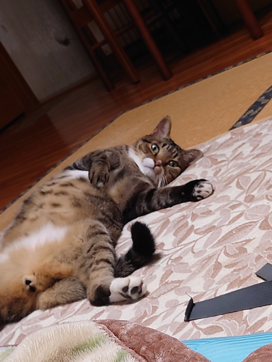 settunn1220's tweet photo. な、なんでしょう？ https://t.co/XOtyZsW3a6