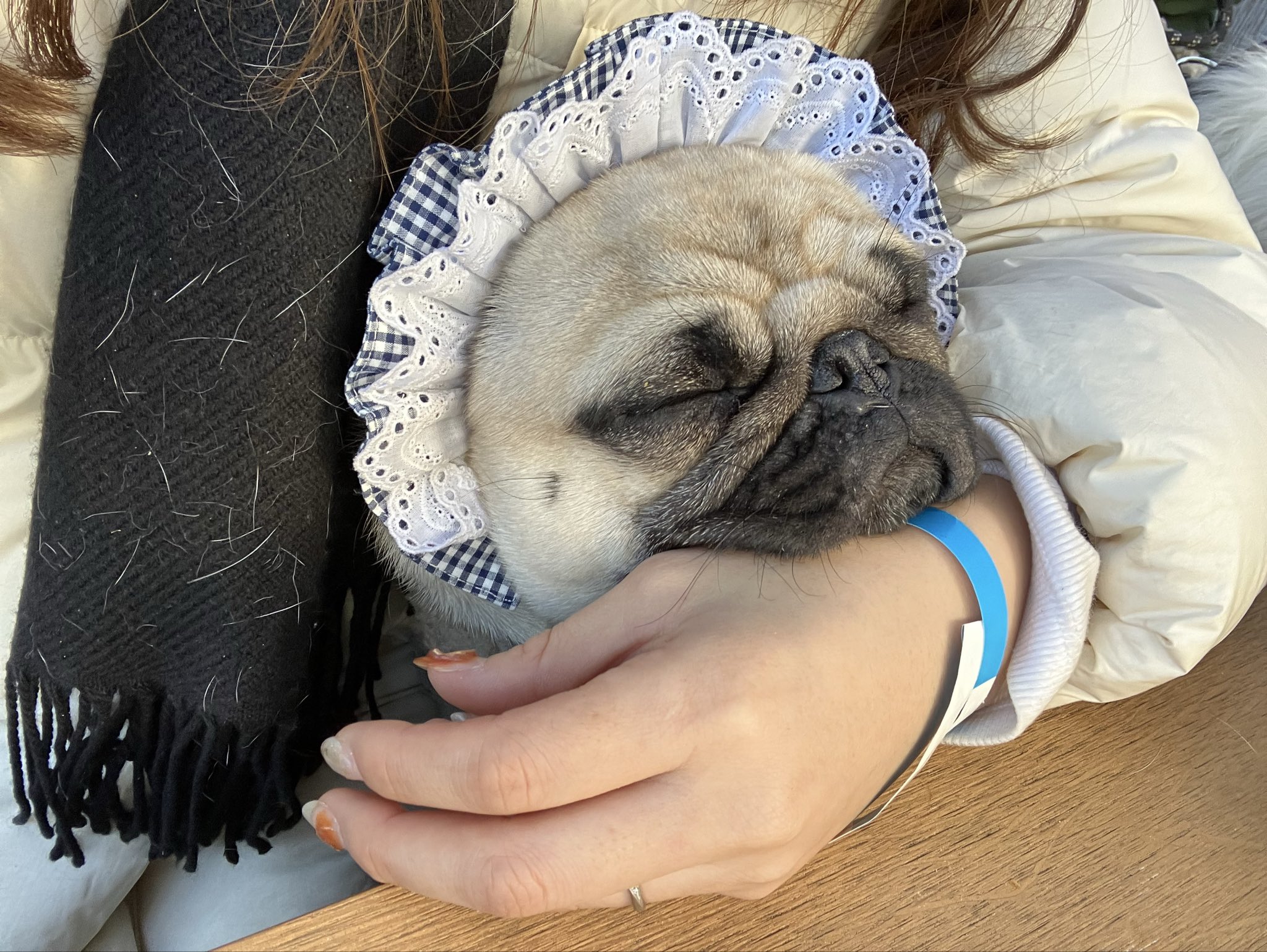 こなつとこむぎ on X: 