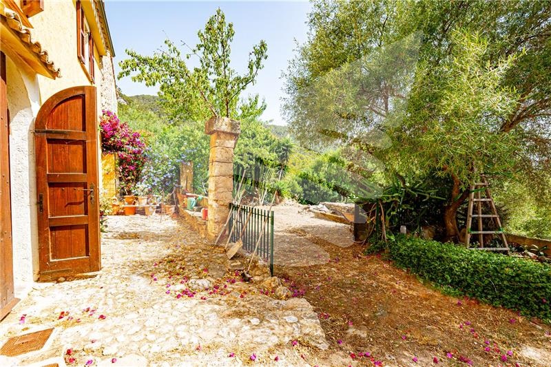 BalearInvest tweet picture