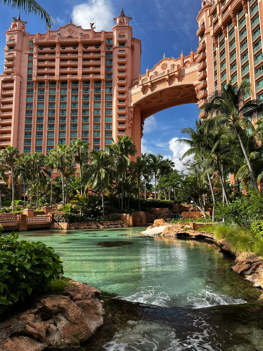 Beautiful environment.

#BeautyInBlack #DiorSS26