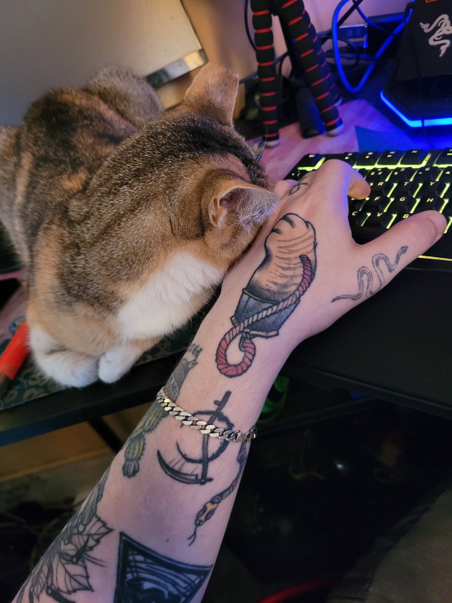 AbominablPollen's tweet photo. Tigger and she mad snoozin while I play https://t.co/zSS8FDsgzz