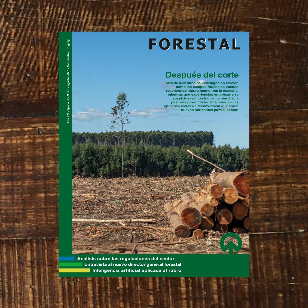 ¿Ya viste nuestro nuevo número?

🌱Reconversión de predios forestales a campos naturales y pasturas
⚖️Análisis sobre las regulaciones del sector
 👤Entrevista al nuevo director general forestal, Ing. Gastón Martínez
 🤖IA en el rubro

Leelo aquí👉revistaforestal.uy
