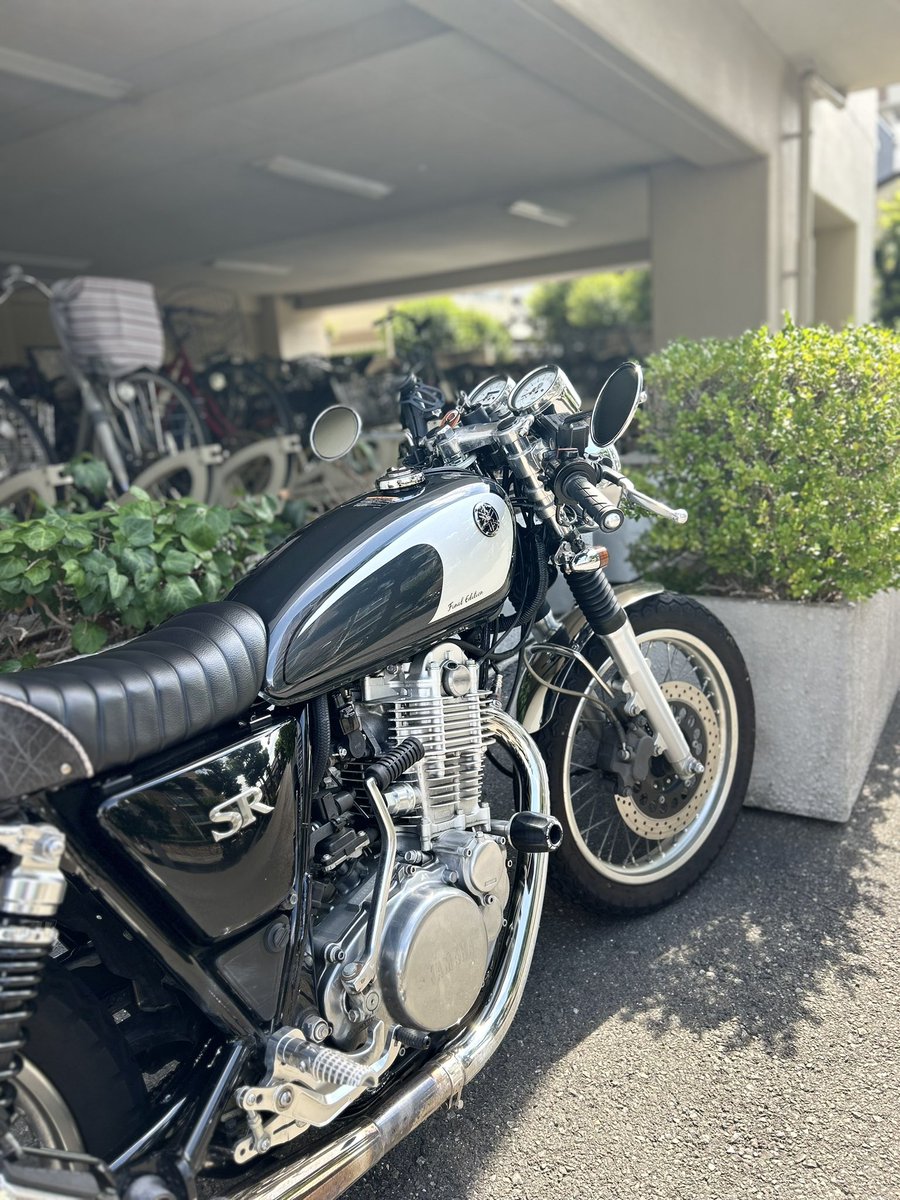 セパハン卒業するけどバックステップとノーマルハンドルの相性やいかに🤔