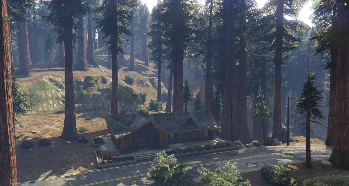 Fogstone Basin stretches through Roxwood and Whetstone County, a redwood wilderness covered in fog and fear. Known for hidden corruption, ruthless criminals, wild predators, and missing persons, this forest is where secrets vanish into the trees.