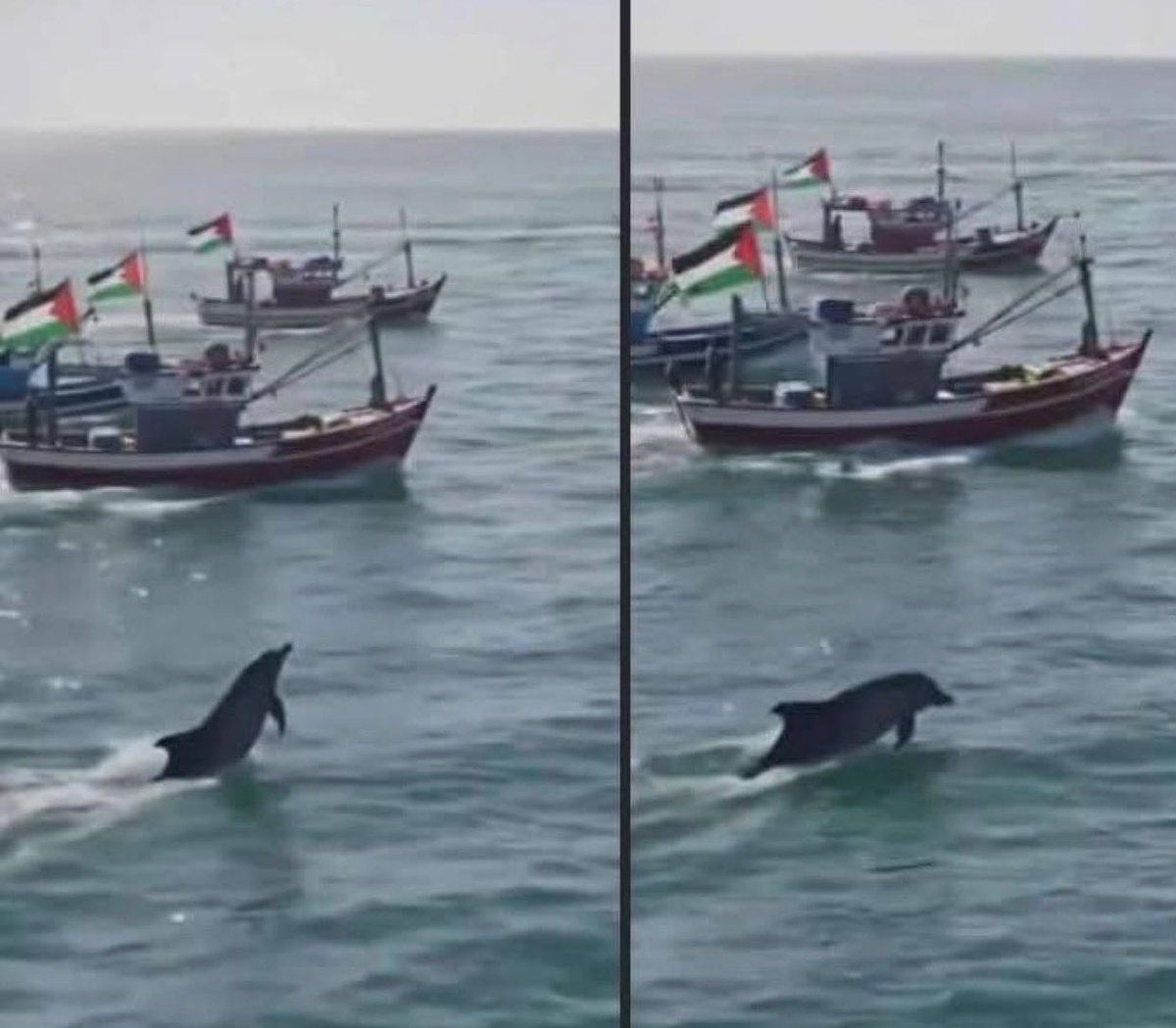 sametdgn1's tweet image. 