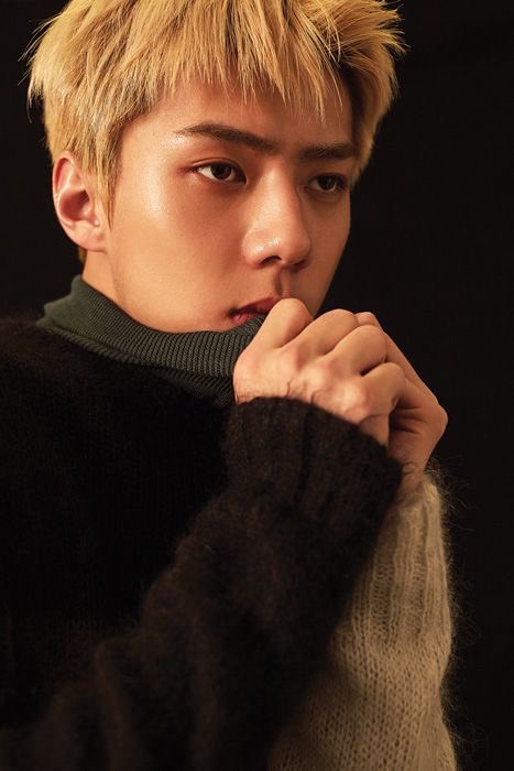 🐥📁 tweet media