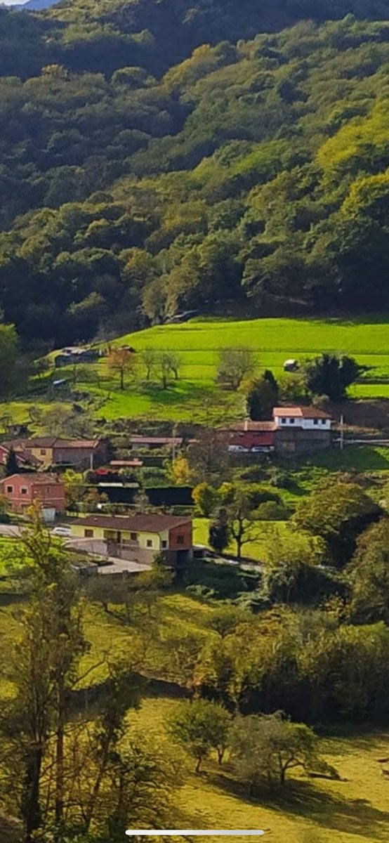 El paisaje permanece verde. Al bosque aún no le ha calado en las entrañas el emboscado Otoño. Cuando llegue, encontrará a todos sus habitantes, tanto hormigas y ardillas como los autóctonos del pueblo, haciendo acopio de reservas alimenticias para superar el invierno.