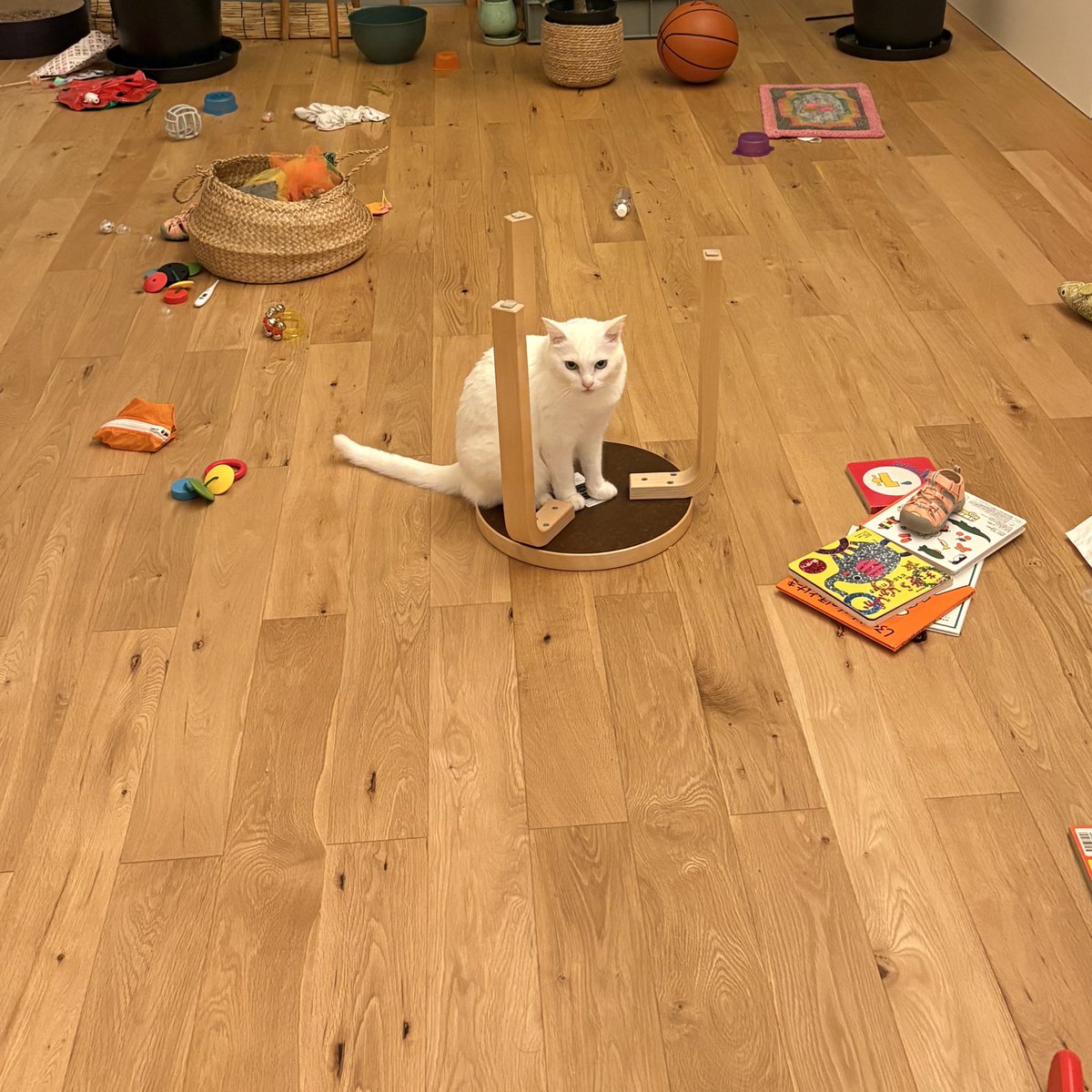 おやもち

散らかってて酷いけど、召喚されちゃったね