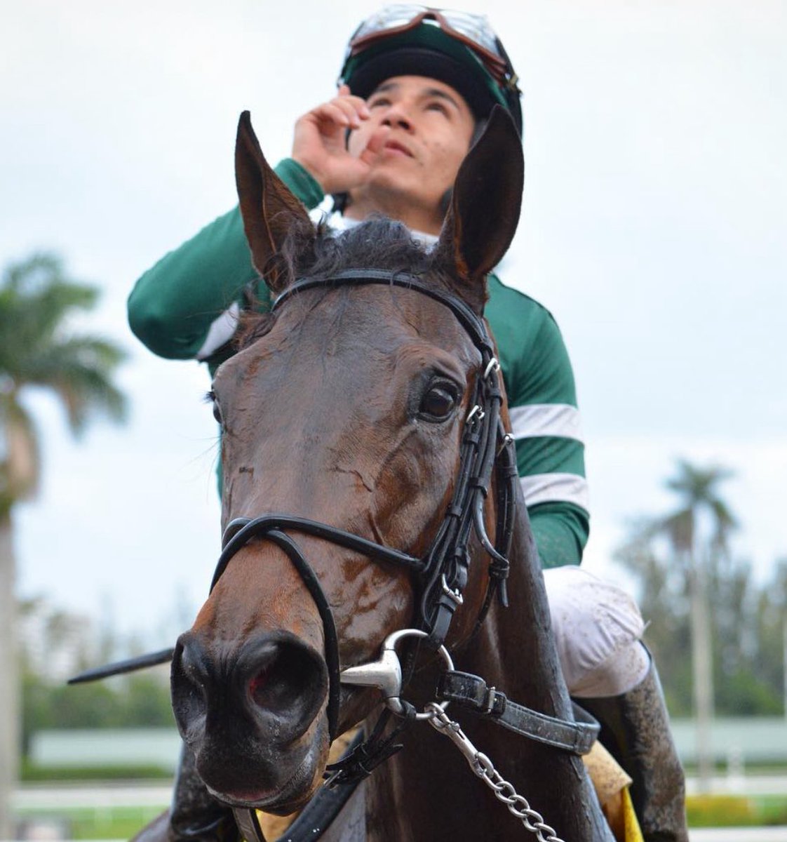 ALBERTO ETTEDGUI R. tweet media