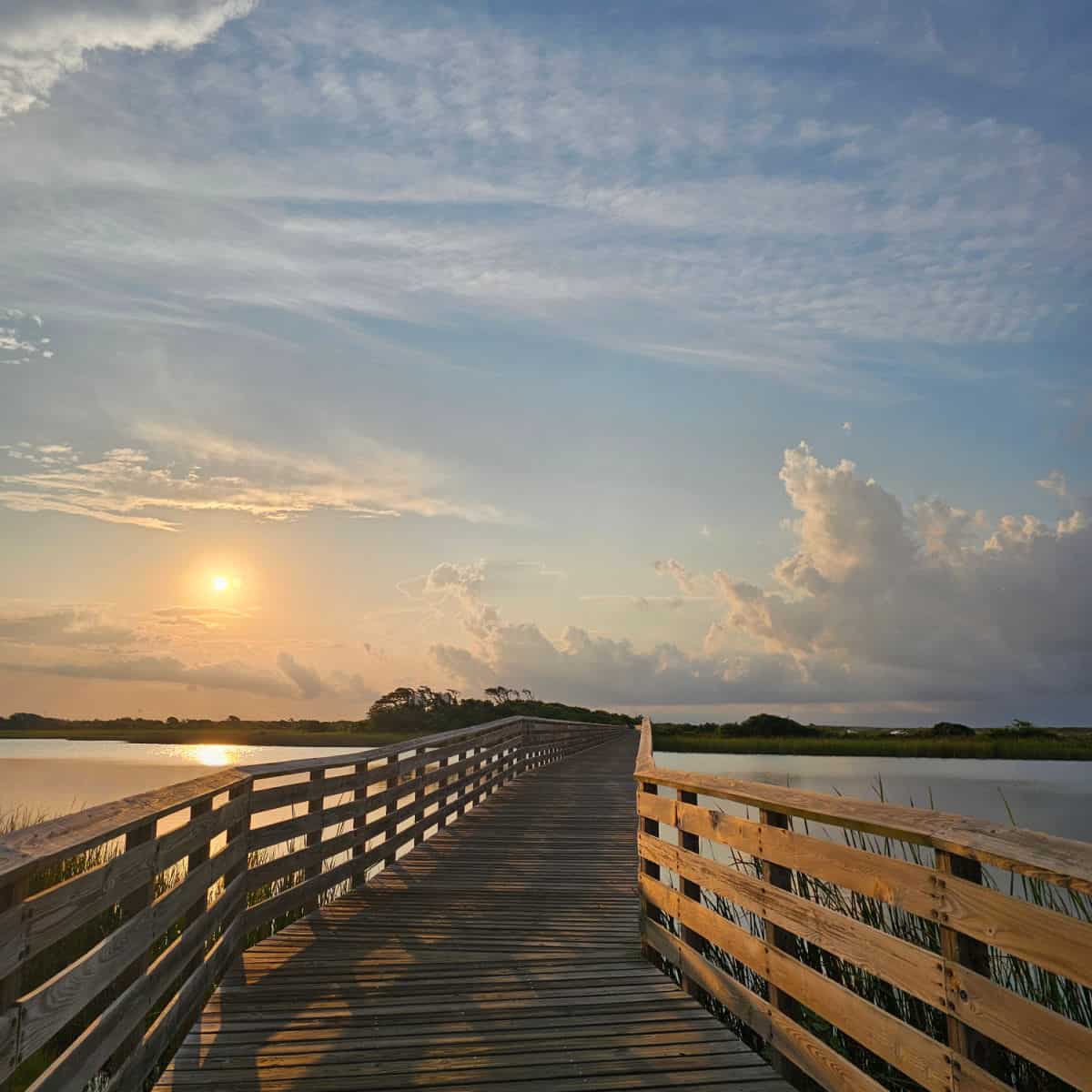 SavvyMamaLife's tweet image. Slow Travel on Alabama Beaches: gulfcoastjourneys.com/slow-travel-on… I love the shoulder season for beach vacations! #ALbeachblogger #ALfallvacation