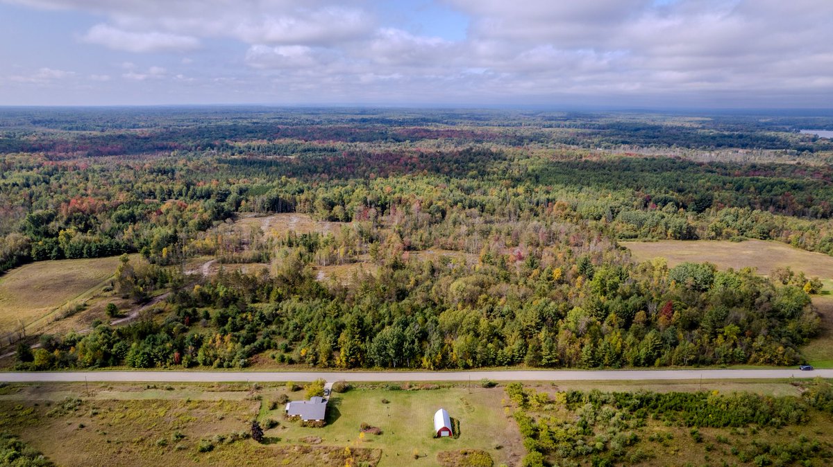 MIoutdoorProprt's tweet photo. Approximately 40 acres of #hunting / recreational land located on a paved road 3 miles west of Hale. The #property is well suited for wildlife as it is set between agricultural fields to the east and north, and heavy forest to the west. https://t.co/L3l2iMTUjD https://t.co/vw36Xn5mY1