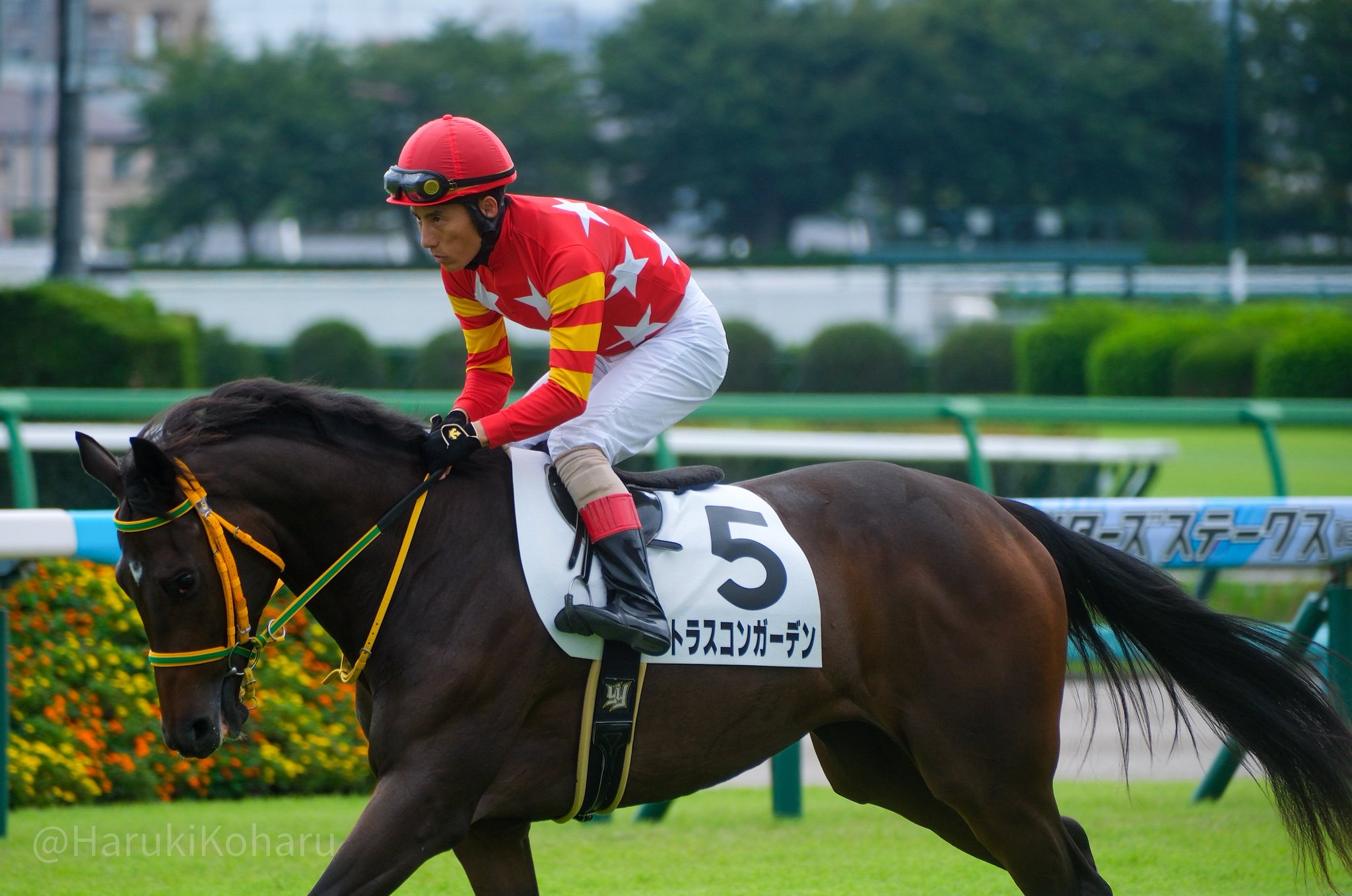 浦和競馬　勝負服　國分騎手サイン入り 浦和競馬 勝負服 國分騎手サイン入り Amazon.co.jp: 浦和競馬