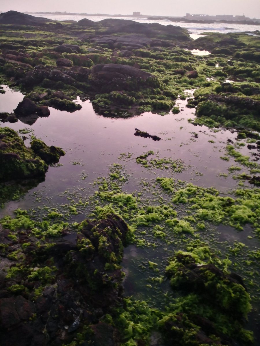 لكل فصل أناقته الخاصة
#فتوح_الصرب