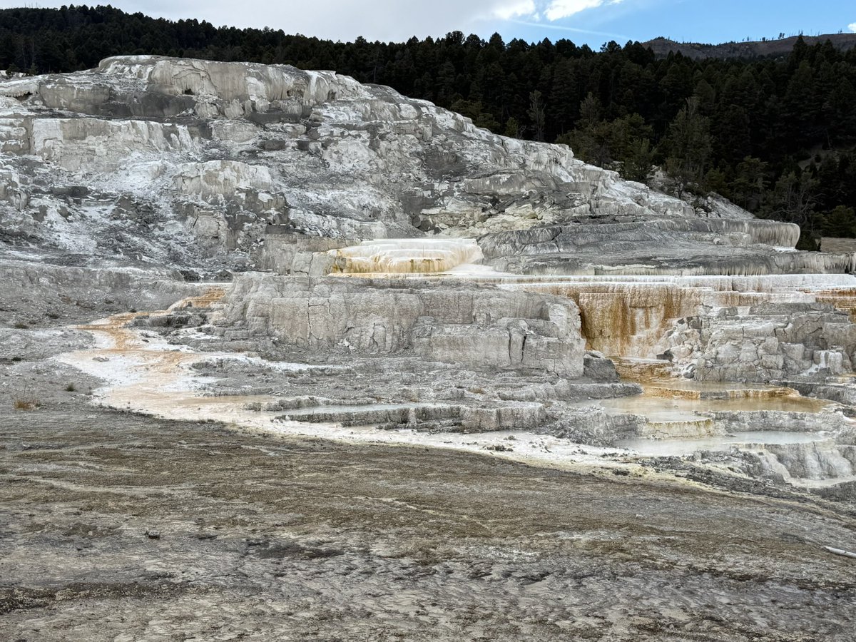 MappingThePath's tweet image. Mammoth Hot Springs today in @YellowstoneNPS. A sulphuric wonderland! #travel