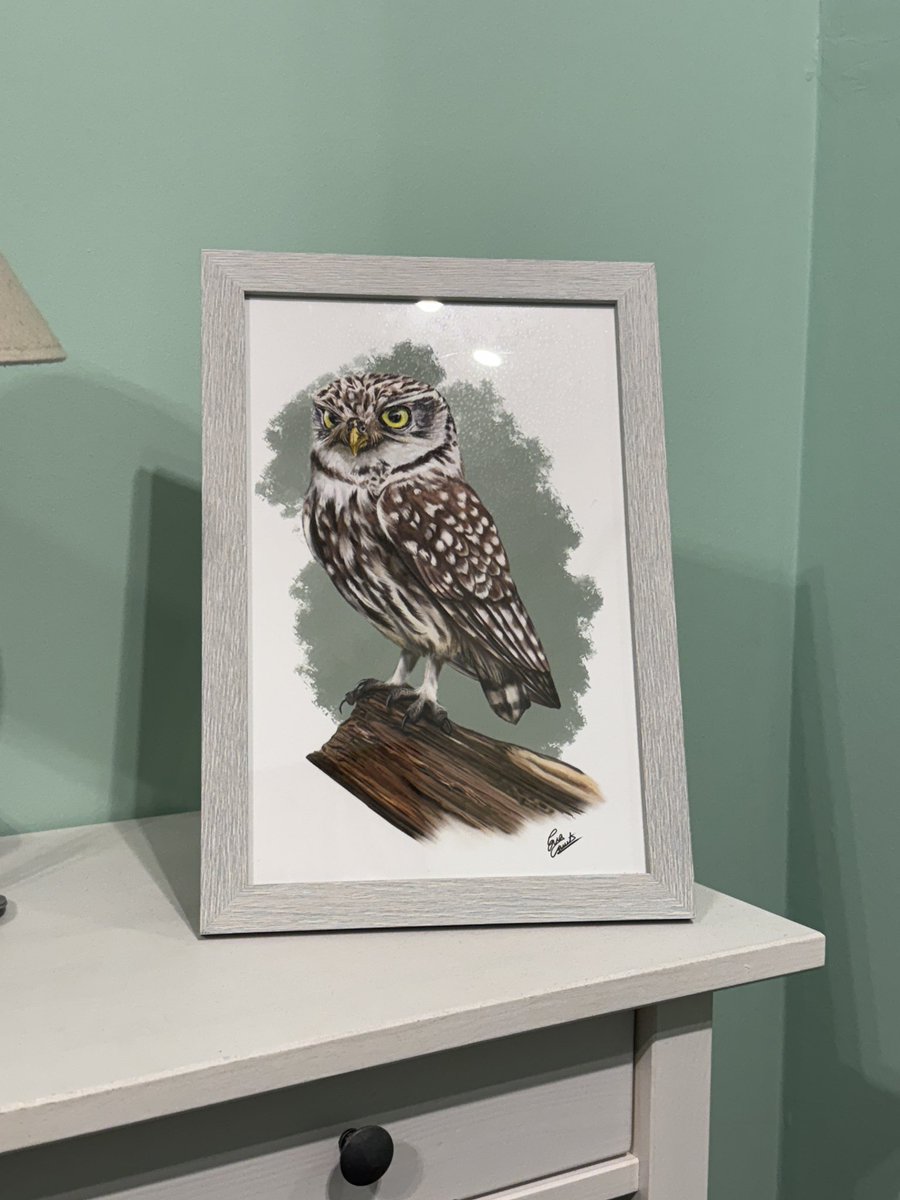 Dos auto-regals que em vaig fer al Delta Birding Festival. Creacions de l’ <a href="/EvaCarretAri/">Eva Carret</a> 

Aquest any les parades d’artistes feien molt goig !