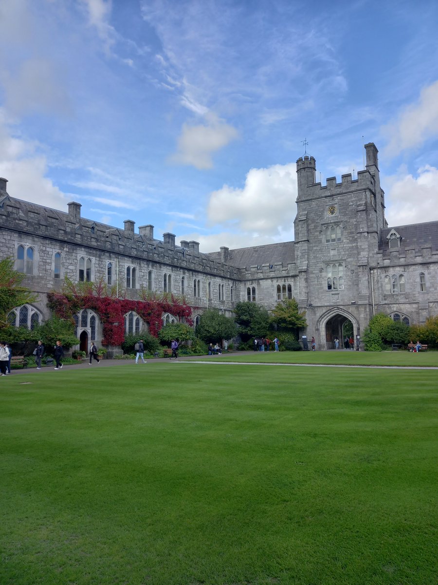 Feminist Translation Network tweet media