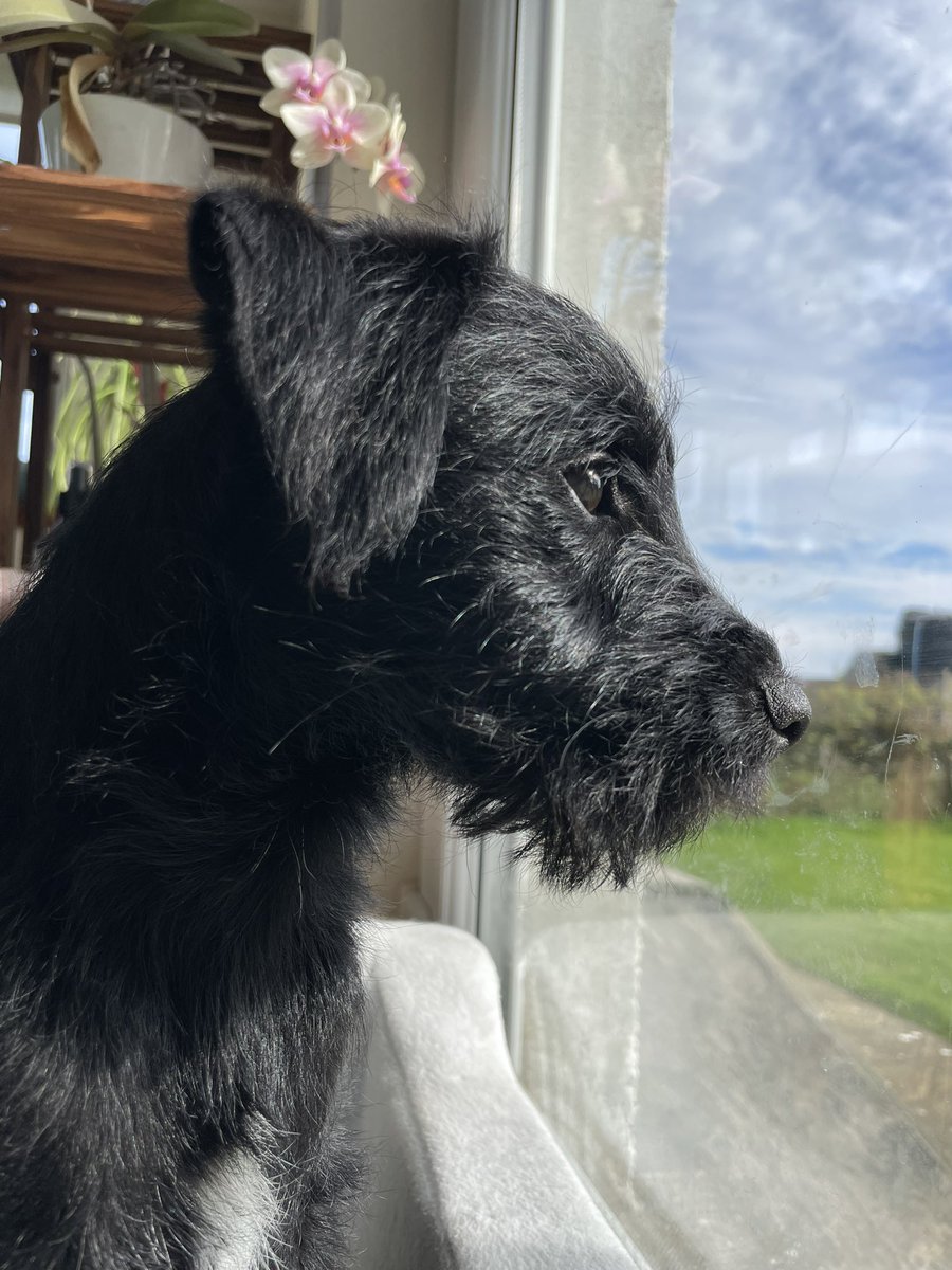 She’s obsessed with me pals. 🦖