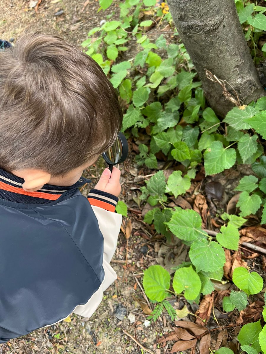 #BenimOkulumGeleceğeÇARE
Samsun çarşamba/Dikbıyık İlkokulu