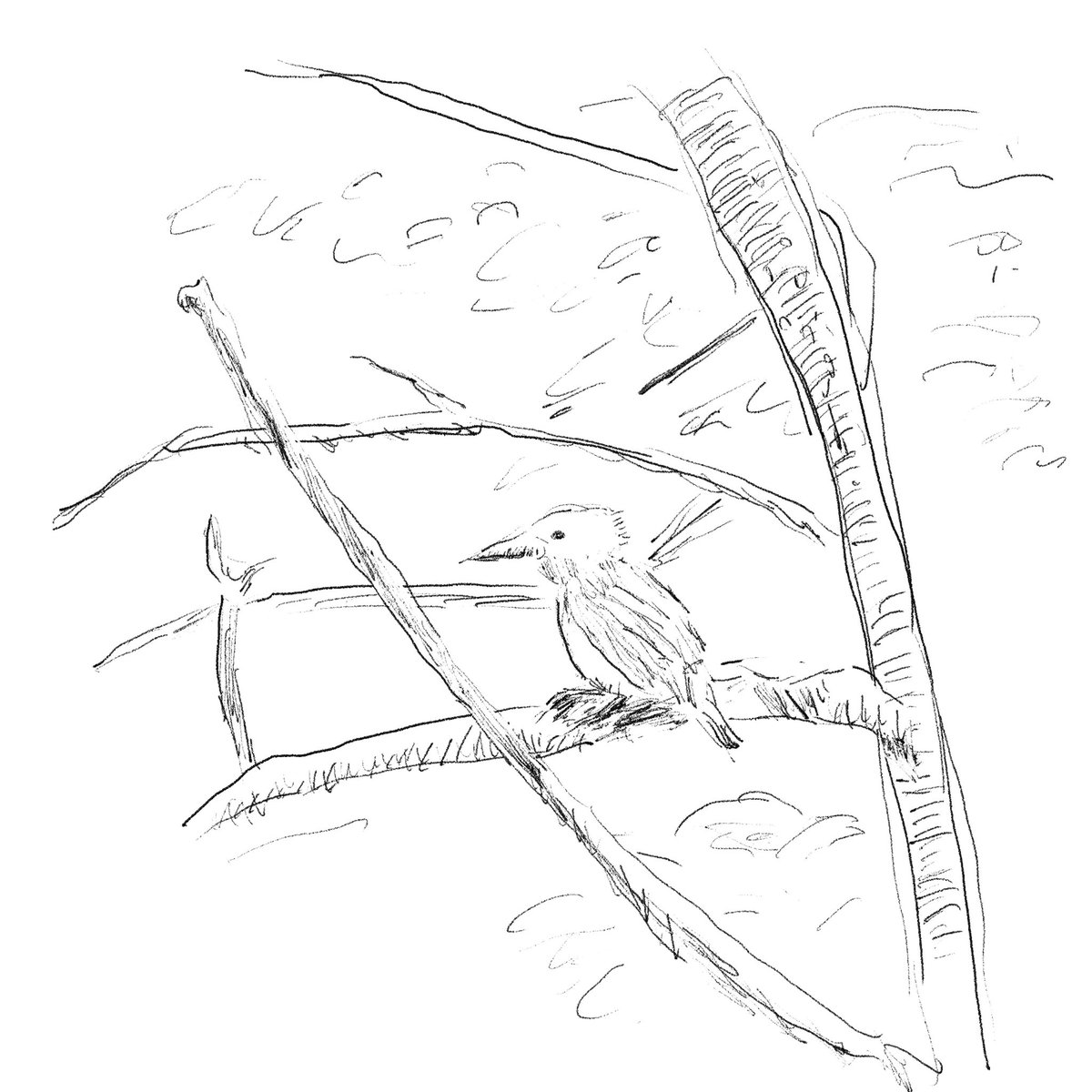 光永これゆき tweet media