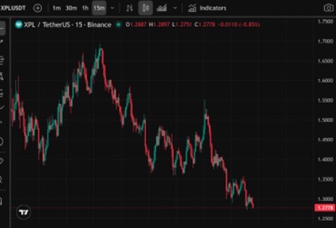 Meta Gorgonite tweet media