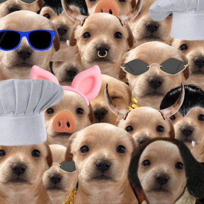 matthewgrok's tweet image. A dog named $WILL.
A community manifesting his $WILL.
Using $WILL power for 8 straight days.
Working $WILLingly for their bag.
Because they know it $WILL pay off.
And that Will, $WILL run.
DO YOU UNDERSTAND?!
3rSKhRtrjHnSZhRsgoAtrWRVM8rcf8DYv8Quea1epump