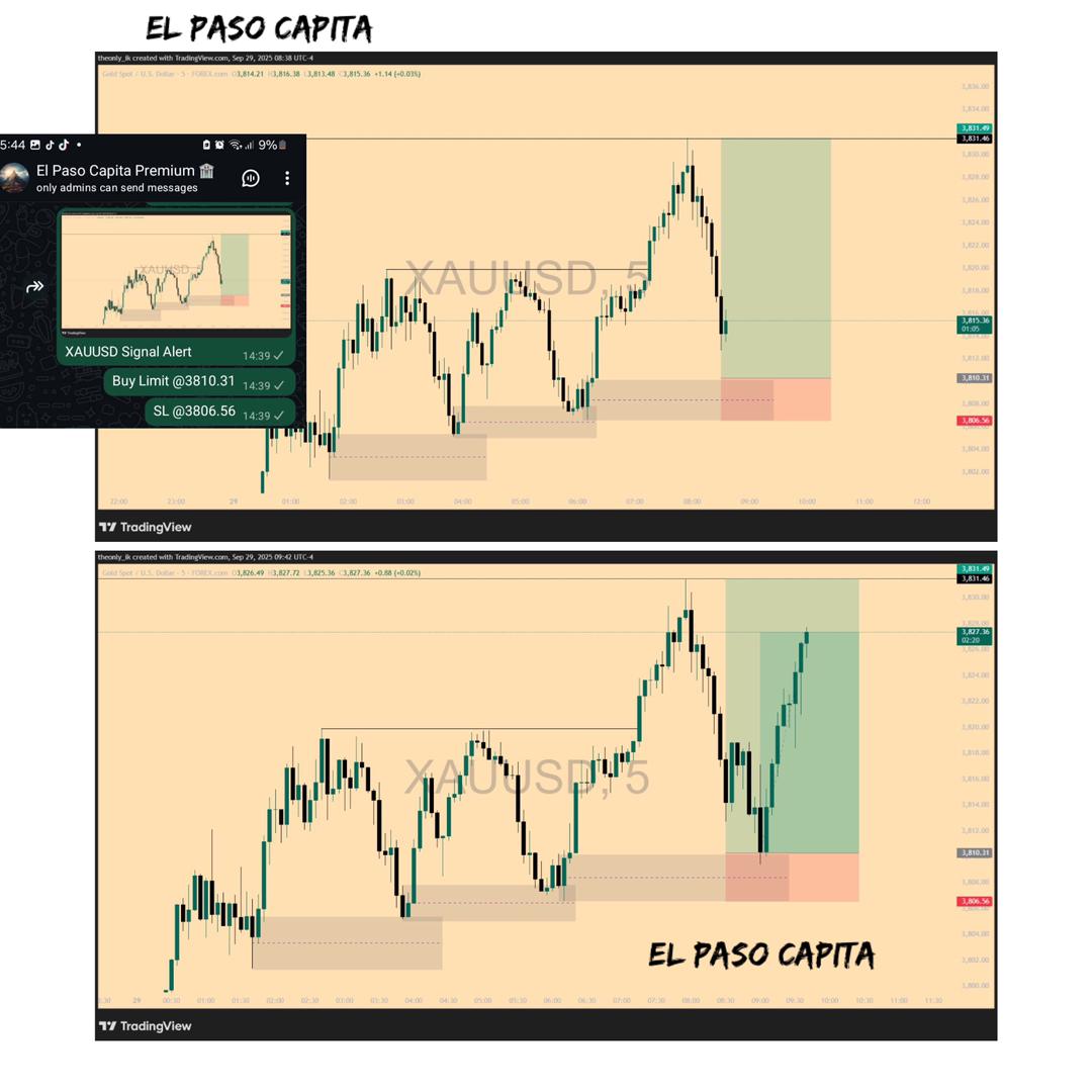 El Paso Capita tweet media