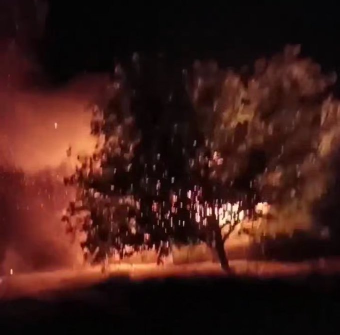 黑暗的夜景，一棵树的剪影映衬着炽热的爆炸声。火花和火焰照亮了该地区，碎片散落在空气中。文字“ParaPax”以红色覆盖。