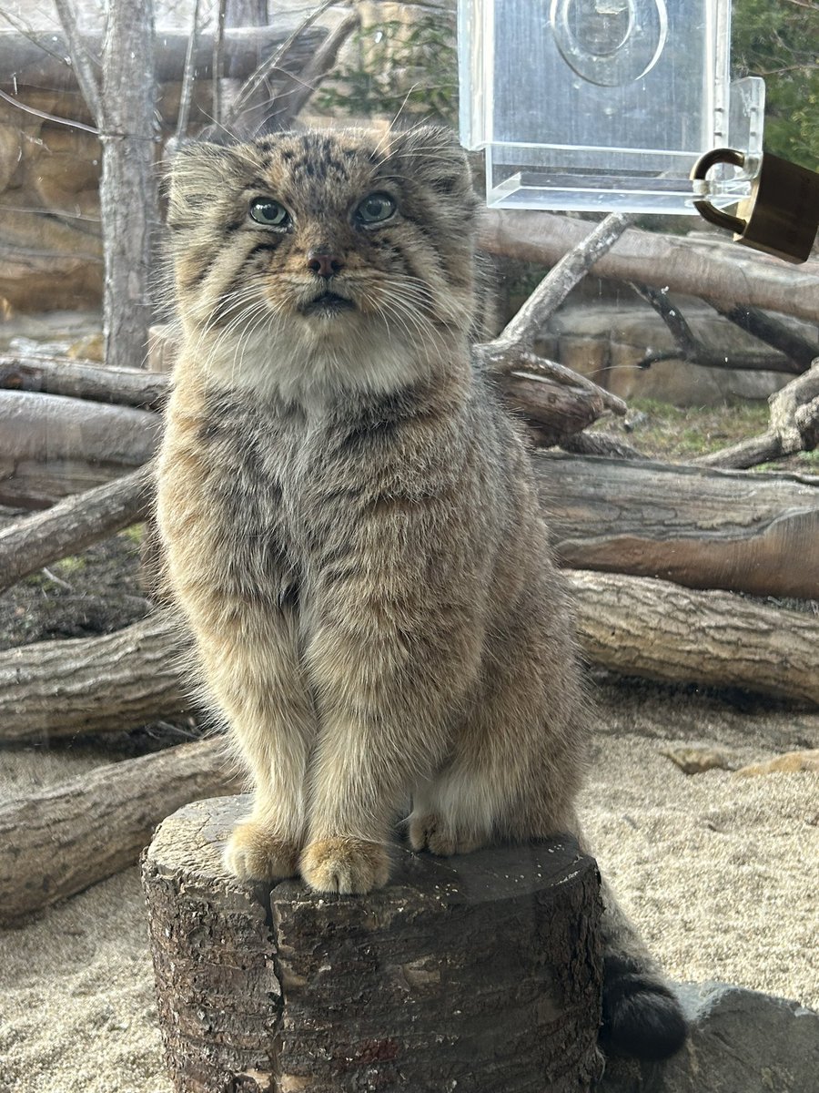 ♪♪♪ tweet media