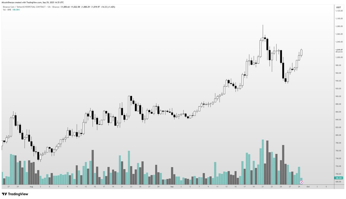 A candlestick chart displaying price movements of BNB over time. The chart shows an upward trend with black and white candlesticks, accompanied by green and gray volume bars below. Text labels include price levels on the y-axis and time intervals on the x-axis.