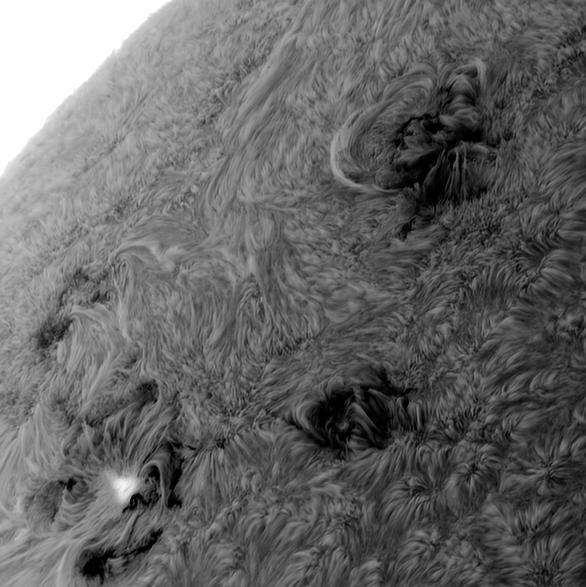 Sun-Ha
--
Celestron Omni XLT 150R(F5) Refractor
Lunt 40 etalon x2
#Antlia 5a Ha（0.5nm） BF 12mm+3nm Ha
Baader TZ-4s+TV pm 2.5x
Saturn-M SQR IMX533
Antlia dualband ERF （Ha&amp;CaK）filter
--
1000*15%=150 Frames
#antlia5aHa
#antlia5aBf
#antliasolarfilter