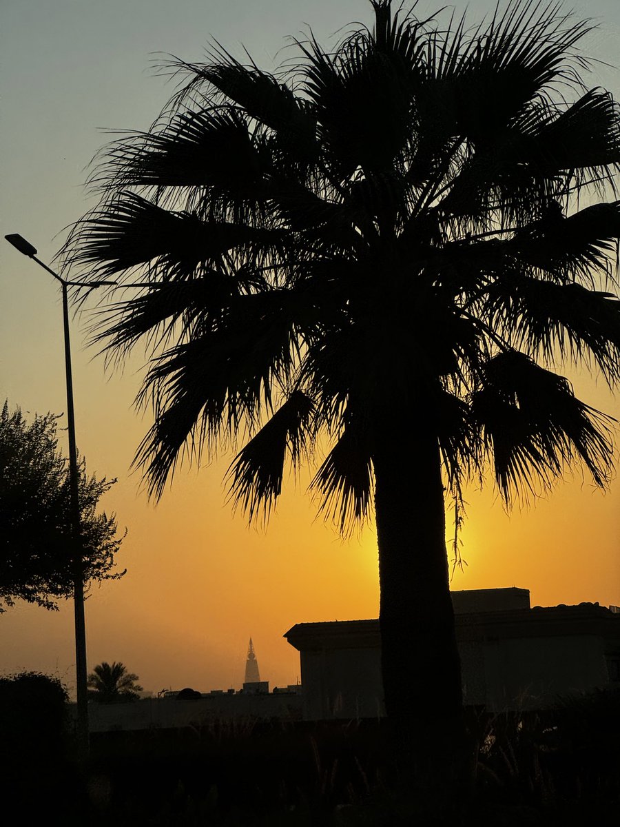 مشاعر tweet media