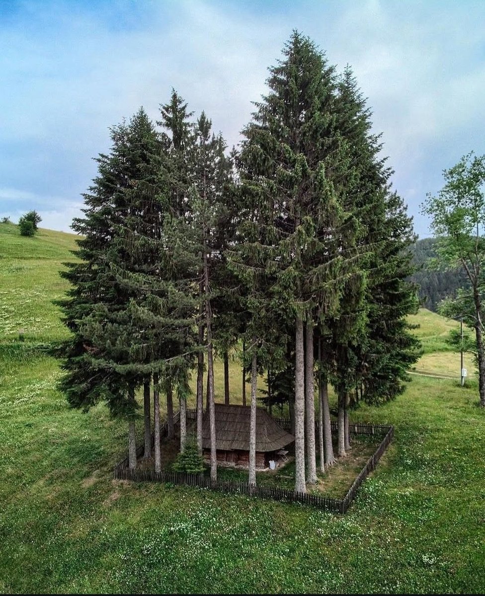 RaiersR's tweet photo. @CornucopiasGame @CornucopiasGame looked all week after a plot similar to this place, and found it in Solace 2😁 https://t.co/hOcYNVix1Y